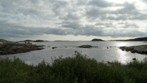 DSC03571
